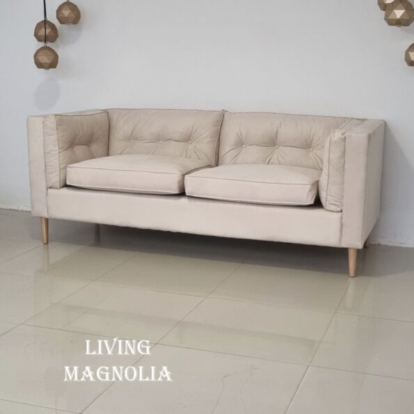 living magnolia sp